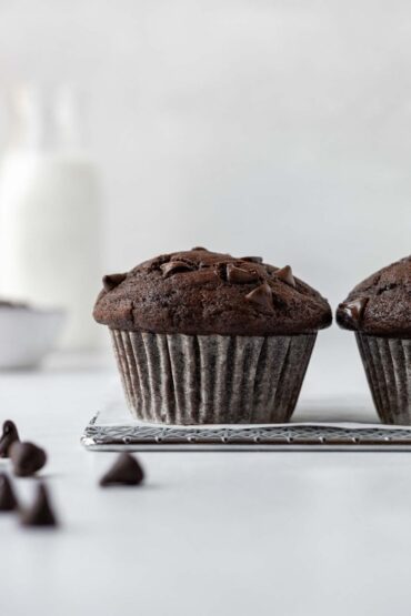 Double Choc Chip Muffin